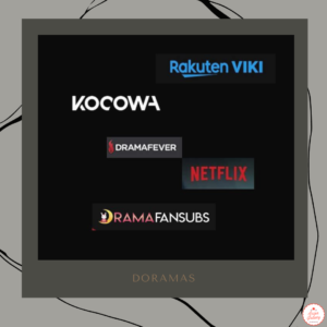 Leia mais sobre o artigo Sobre assistir doramas: netflix, viki, kocowa e fansubs